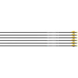 EASTON ARROW SONIC 6.0 400