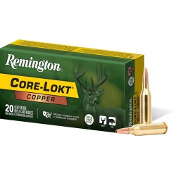 REMINGTON 300 WIN MAG 180GR