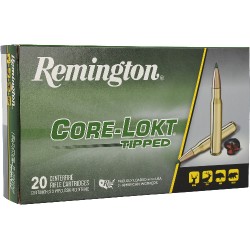 REMINGTON 243 WIN 95GR TIPPED