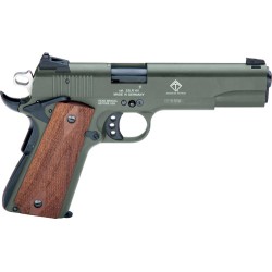 GERMAN SPORT 1911 22LR